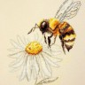 Набор для вышивания Марья Искусница 03.015.09 Пчела Марья