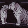 Набор для вышивания Панна J-1062 (Ж-1062) Тигриная любовь