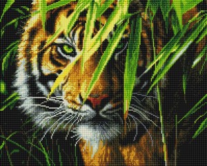 Painting Diamond GF5886 Тигр в джунглях