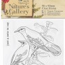 Docrafts PMA907226 Набор прозрачных штампов "Nature`s Galleri, птицы"