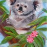 Woolla WA-0136 Добродушная коала