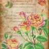 М.П.Студия Г-167 Поэтические розы