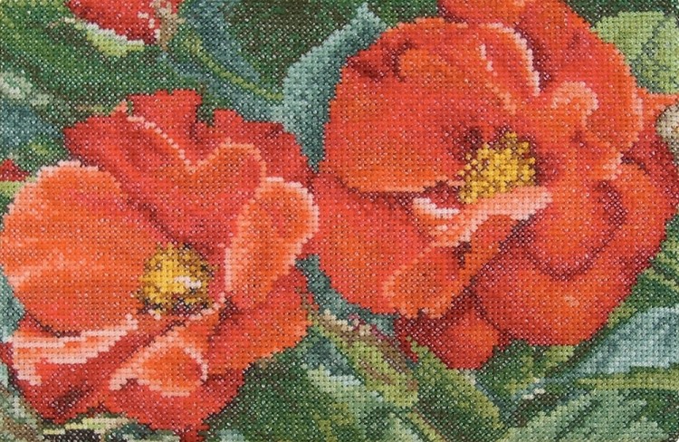 Набор для вышивания Thea Gouverneur 427A Orangeade Rose (Оранжевые розы)