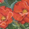 Набор для вышивания Thea Gouverneur 427A Orangeade Rose (Оранжевые розы)