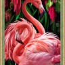 Алмазная живопись АЖ-1739 Пара фламинго