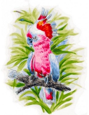 Белоснежка 361-AS Розовый попугай