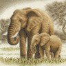 Набор для вышивания Панна J-0564 (Ж-0564) Слоны