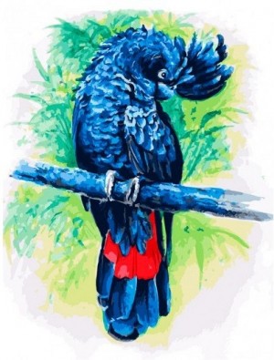 Белоснежка 362-AS Синий попугай