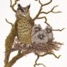 Набор для вышивания Eva Rosenstand 12-648 Сова с совятами в гнезде