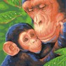 Dimensions 73-91470 Шимпанзе с детёнышем