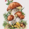 Набор для вышивания Кларт 8-516 Белые грибы