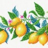 М.П.Студия СК-098 Лимонная гармония