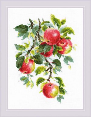 Риолис 1938 Наливные яблочки
