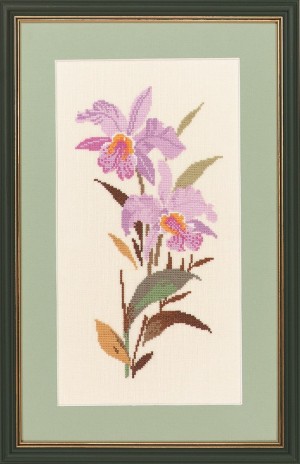 Eva Rosenstand 14-229 Орхидея