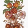 Набор для вышивания М.П.Студия НВ-614 Изумрудная ягода