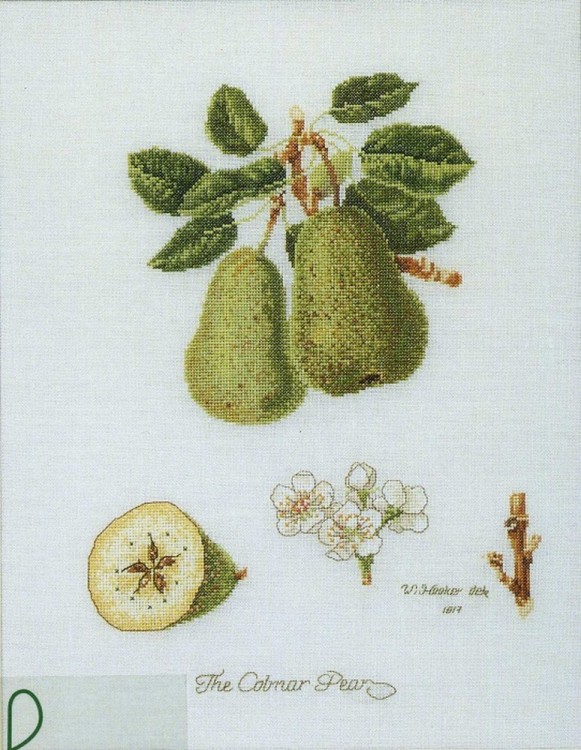 Набор для вышивания Thea Gouverneur 2056 Pears (Груши)