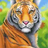 М.П.Студия СК-067 Царственный тигр