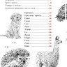 Рисуем животных ручками и маркерами: 26 реалистичных проектов