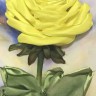 Набор для вышивания Каролинка КЛ(Н)-4016 Желтая роза