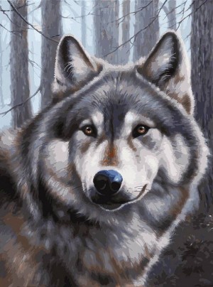 Белоснежка 3090-CS Волк