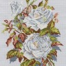 Набор для вышивания РТО M407 Белые розы