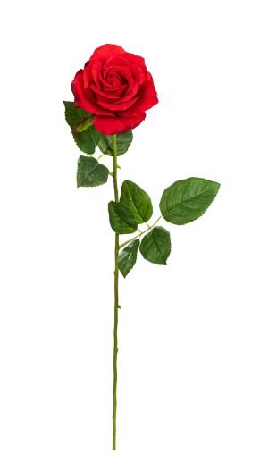 Fiebiger Floristik 207122-500 Цветок декоративный "Роза"