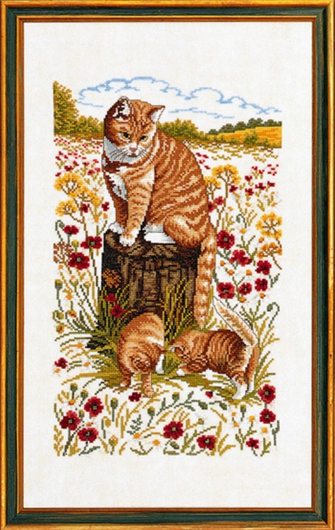 Набор для вышивания Eva Rosenstand 14-181 Коты