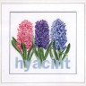 Набор для вышивания Thea Gouverneur 434 Hyacinth (Гиацинт)