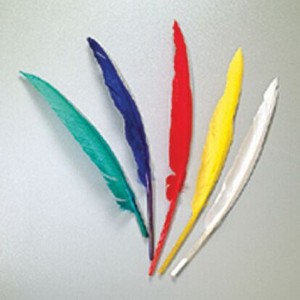 Efco 1004400 Индейские перья разноцветные