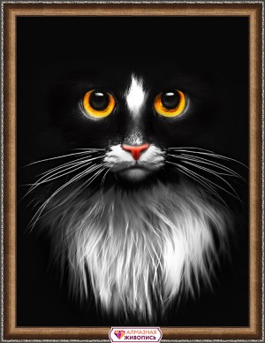 Алмазная живопись АЖ-1899 Черный кот