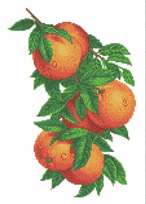 Каролинка КК 062 Апельсин