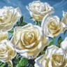 Паутинка М-243 Белые розы
