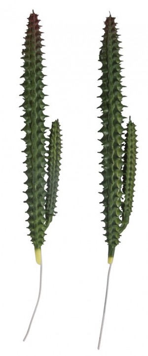 Rayher 55859000 Декоративное растение "Столбчатый кактус"