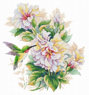 Многоцветница МКН-01 Колибри на цветках гибискуса