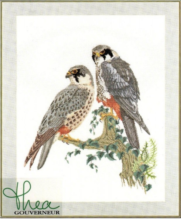 Набор для вышивания Thea Gouverneur 2024 Falcons
