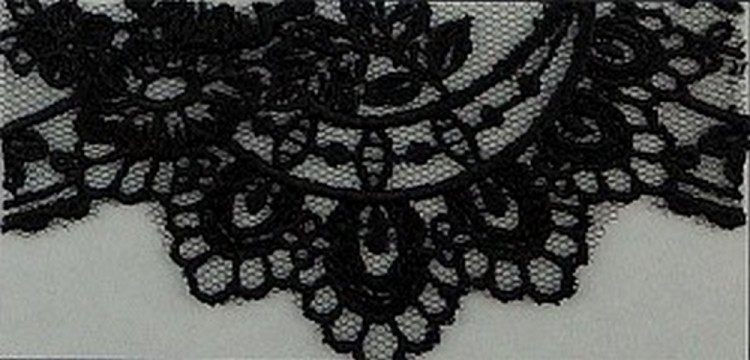 IEMESA I743/14 Кружево - вышивка на тюле, 100% полиэстер, ширина 105 мм, цвет черный