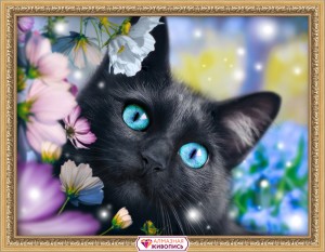 Алмазная живопись АЖ-1900 Черный кот в цветах