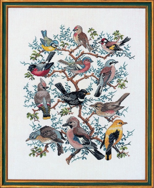 Набор для вышивания Eva Rosenstand 12-266 Птичий парад