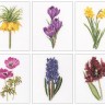 Набор для вышивания Thea Gouverneur 3083 Six Floral Studies