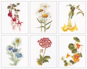 Thea Gouverneur 3084 Six Floral Studies