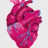 Набор для вышивания Панна JK-2195 Анатомическое сердце