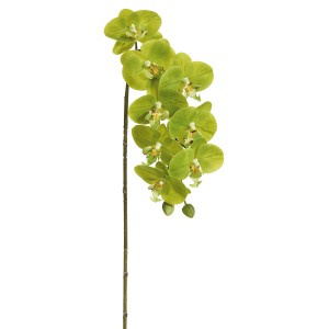 Fiebiger Floristik 206644-810 Цветок декоративный "Орхидея"