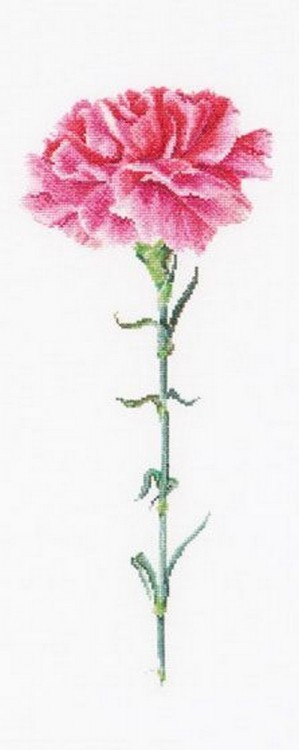 Набор для вышивания Thea Gouverneur 467A Carnation Pink