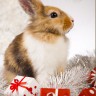 Алмазная живопись АЖ-4163 Кролик и подарки