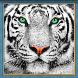 Алмазная живопись АЖ-1788 Портрет белого тигра