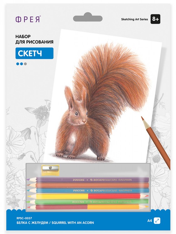 Фрея RPSC-0037 Скетч для раскрашивания цветными карандашами "Белка с желудем"