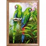 Магия канвы КС-094 Пара попугаев