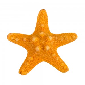 Blumentag MZF-001.02 Декоративная морская звезда