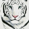 Паутинка М-306 Белый тигр