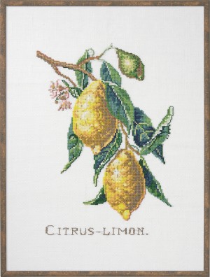 Eva Rosenstand 12-850 Лимоны